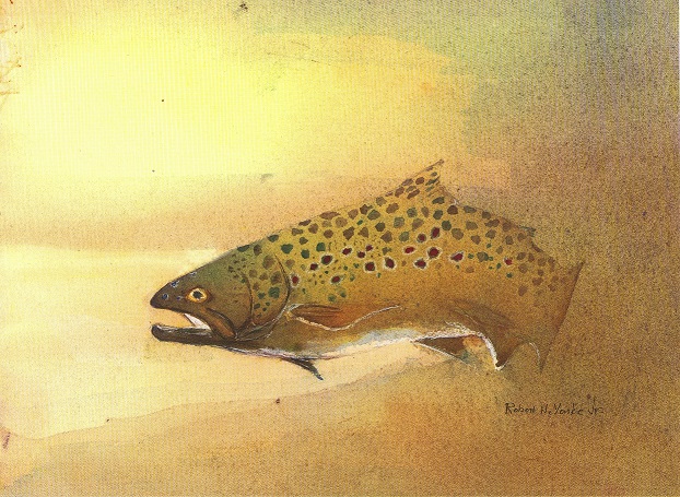 watercolor painting of a brown trout 